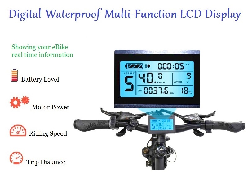 LCD Display Fat Tire Electric Cruiser Bike