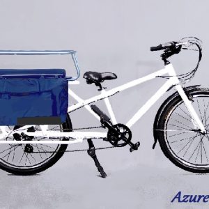 Family Cargo Bike Electric Bike with Passenger Seat