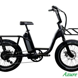 Electric bike for food delivery